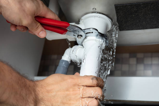 Best Water damage restoration cost  in Haiku Pauwela, HI