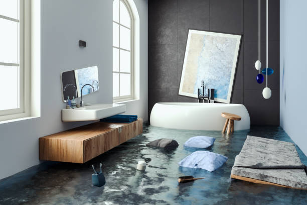 Best Residential water damage restoration  in Haiku Pauwela, HI