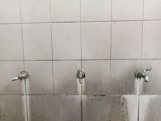 Best Water damage restoration near me  in Haiku Pauwela, HI