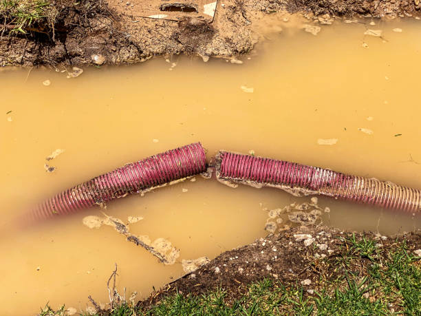 Best Water damage cleanup near me  in Haiku Pauwela, HI